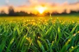 Sun Rise